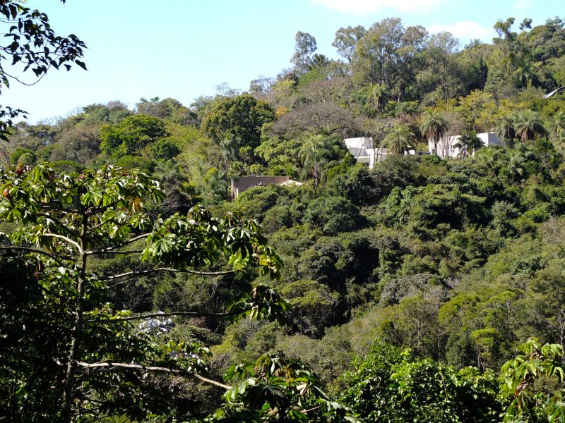 Casas na mata